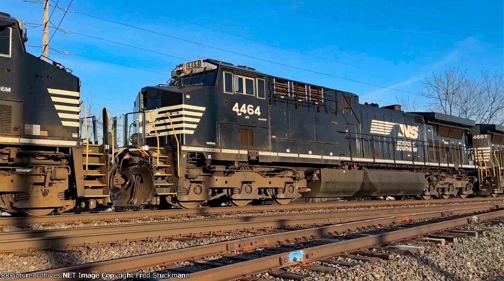 NS 4464